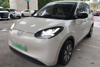 五菱汽车 五菱缤果 2023款 410km 灵犀尊享款