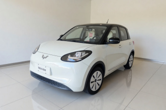 五菱汽车 五菱缤果 2023款 203km 轻享款