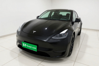 特斯拉 Model Y 2021款 标准续航后驱版