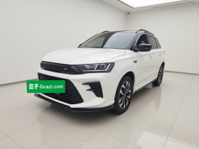 SWM斯威汽车 SWM斯威G01 2019款 F版 1.5T 自动金粉版 国VI