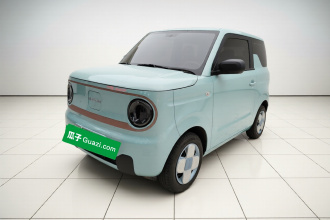吉利银河 2024款 熊猫mini 200km 耐力熊