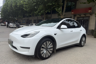 特斯拉 Model Y 2021款 标准续航后驱版