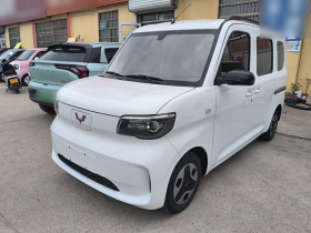 五菱汽车 五菱之光新能源 2025款 305km 进取型