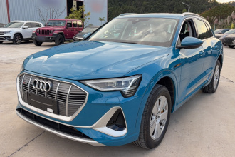 奥迪e-tron 2021款 50 quattro 豪华型