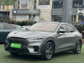 福特电马 2021款 跃世后驱版(标准续航)
