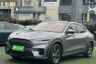 福特电马 2021款 跃世后驱版(标准续航)