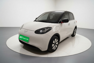 五菱汽车 五菱缤果 2024款 333km 悦享款