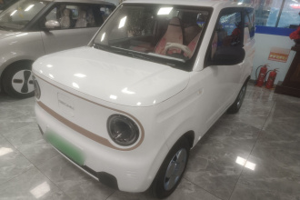 吉利银河 2024款 熊猫mini 200km 耐力熊