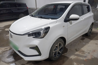 长安欧尚 奔奔E-Star 2022款 清心版 多彩款 磷酸铁锂