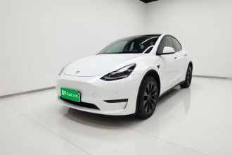 特斯拉 Model Y 2021款 标准续航后驱版