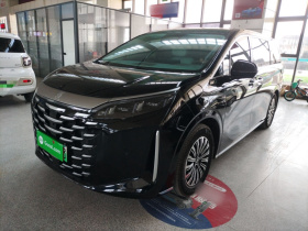 比亚迪 夏 2025款 DM-i 1.5T 180km 超越型