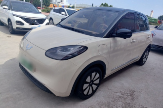 五菱汽车 五菱缤果 2025款 333km 灵犀尊享款