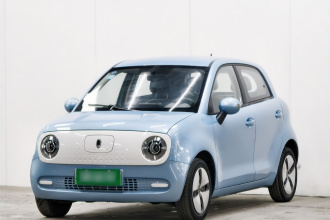 欧拉黑猫 2021款 301km 基础型