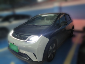 比亚迪 海豚 2021款 401km 骑士版