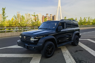 坦克300 2024款 2.0T 挑战者