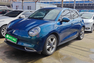 欧拉好猫 2023款 401km标准续航 豪华型 三元锂