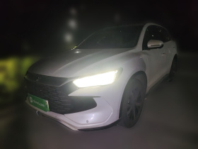 比亚迪 宋Pro新能源 2023款 冠军版 DM-i 110KM超越型