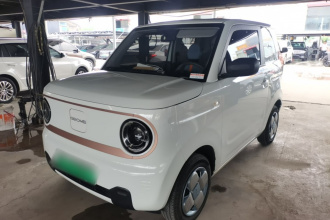 吉利银河 2024款 熊猫mini 200km 耐力熊