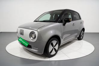 欧拉黑猫 2022款 301km 基础型 三元锂