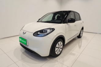 五菱汽车 五菱缤果 2023款 203km 轻享款