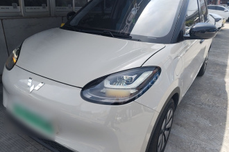 五菱汽车 五菱缤果 2023款 410km 灵犀尊享款