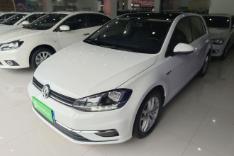 大众 高尔夫 2018款 230TSI 自动舒适型