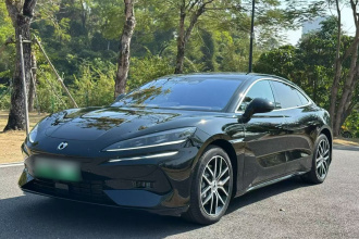 腾势Z9 2024款 1100km 四驱Max版