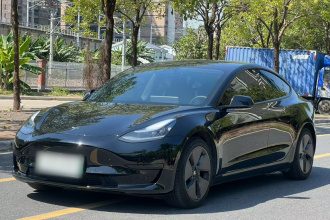 特斯拉 Model 3 2020款 改款 标准续航后驱升级版