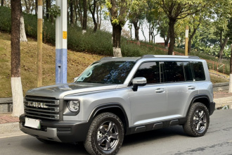 哈弗猛龙新能源 2023款 Hi4 145 探索版