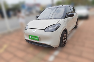 五菱汽车 五菱缤果 2023款 333km 灵犀互联款