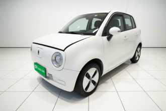 欧拉黑猫 2021款 301km 基础型