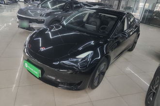 特斯拉 Model 3 2021款 改款 标准续航后驱升级版 3D1