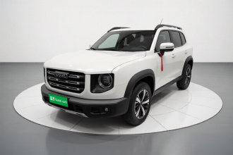 哈弗大狗 2021款 1.5T DCT两驱拉布拉多版