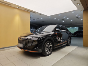 哈弗神兽 2022款 2.0T 智享版