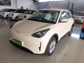 吉利银河 星愿 2026款 310km 青春版