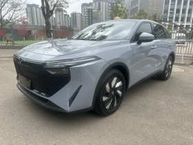 启辰大V DD-i 2023款 60km iD版