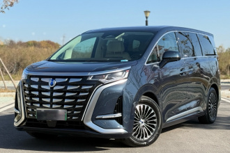 腾势D9 2024款 DM-i 980 四驱旗舰型