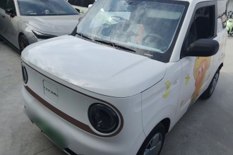 吉利银河 2024款 熊猫mini 200km 龙腾PRO版