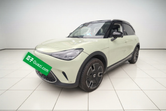 smart精灵#1 2024款 灵动豪华版