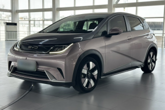 比亚迪 海豚 2021款 401km 骑士版