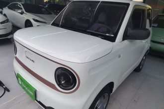 吉利银河 2024款 熊猫mini 200km 耐力熊