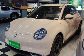 欧拉好猫 2024款 501km 豪华型