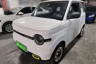 吉利银河 2025款 熊猫mini 210km 元气熊