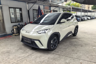 比亚迪 海鸥 2024款 荣耀版 305km 自由版