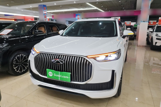 奇瑞 瑞虎9 2025款 2.0T 双离合两驱舒享版 5座