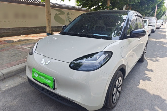 五菱汽车 五菱缤果 2023款 333km 悦享款