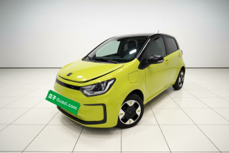 思皓 2022款 花仙子款 四叶草