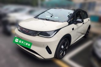 比亚迪 海豚 2025款 智驾版 410km 时尚版