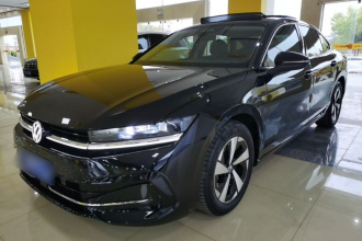 大众 迈腾 2024款  300TSI DSG尊享版显眼包