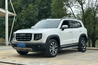 哈弗大狗 2022款 2.0T DCT两驱中华猎犬版